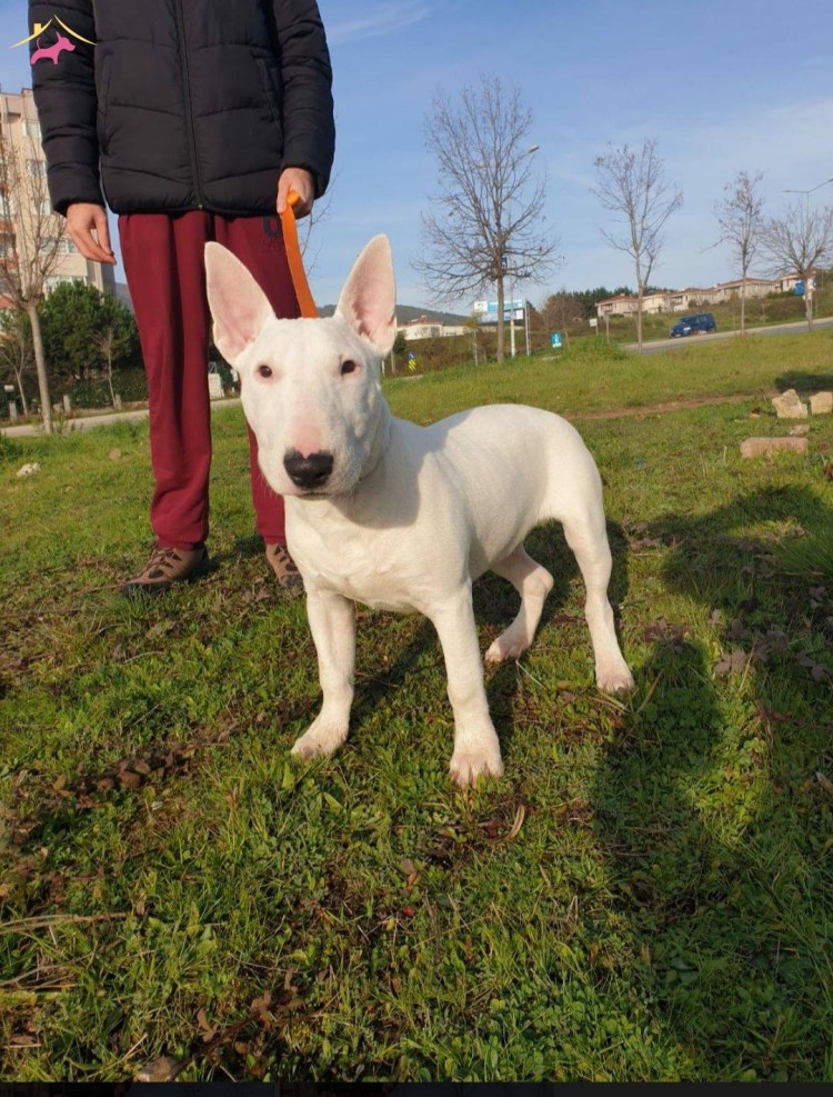 Ekaterina Kapustina 2021