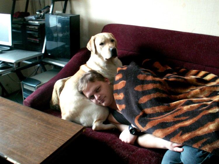 Собака ест чернику