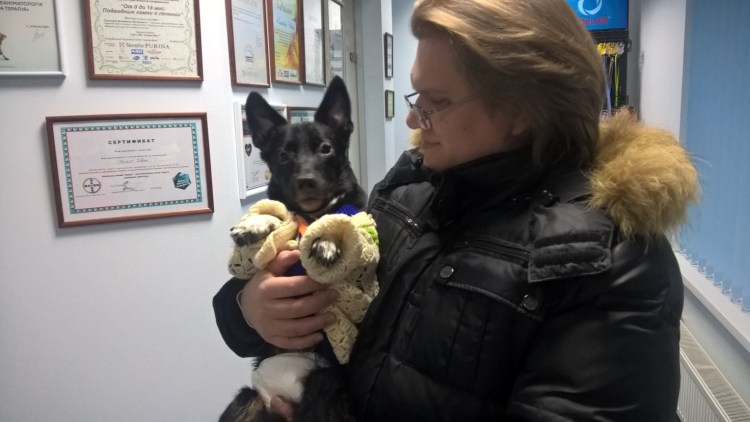 Померанский шпиц в сумке