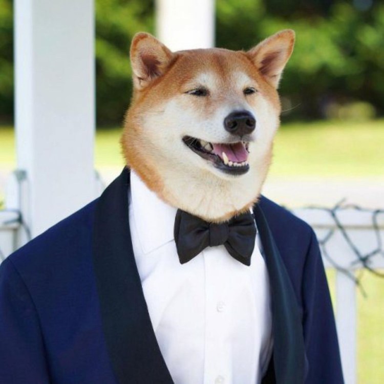 Марина Вабищевич