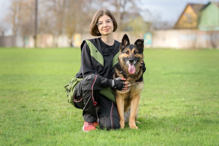 Королевский Чак собака