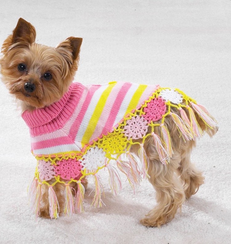 Вязаная одежда для йорков