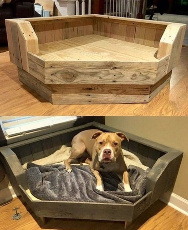 Лежак для собак Dreamer