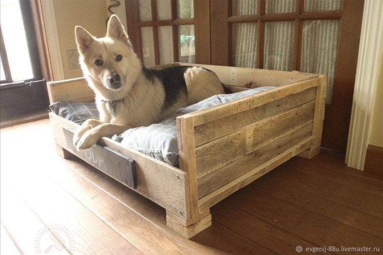 Деревянная лежанка для собак