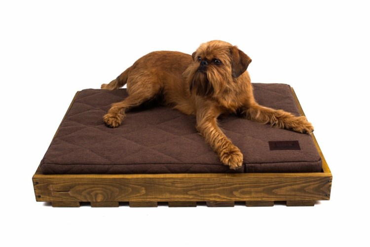 Лежак Dreamer Brown Velvet