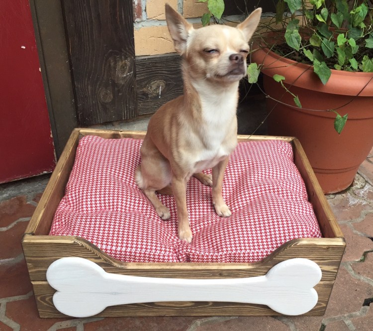 Лежанка для собаки в интерьере