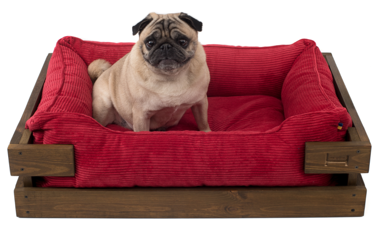 Креативные лежанки для собак