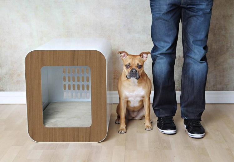 Порода собак Бигль