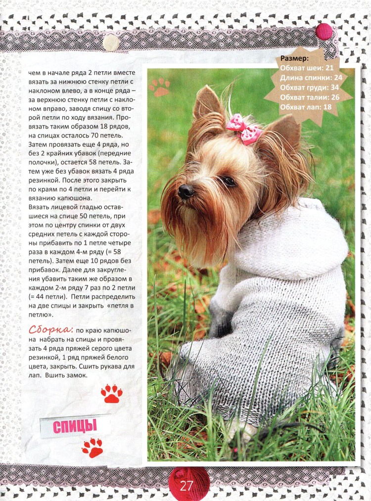 Вязаный комбинезон для собаки