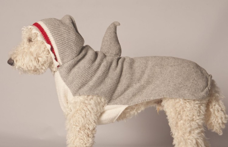 Вязаный свитер для собаки крючком