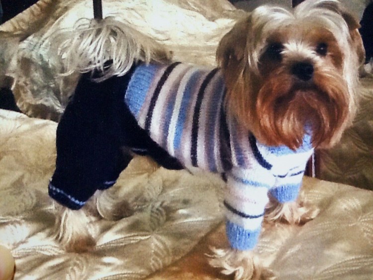 Вязаные платья для собак