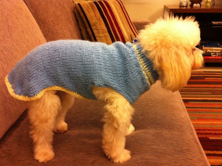 Вязаные костюмчики для собак