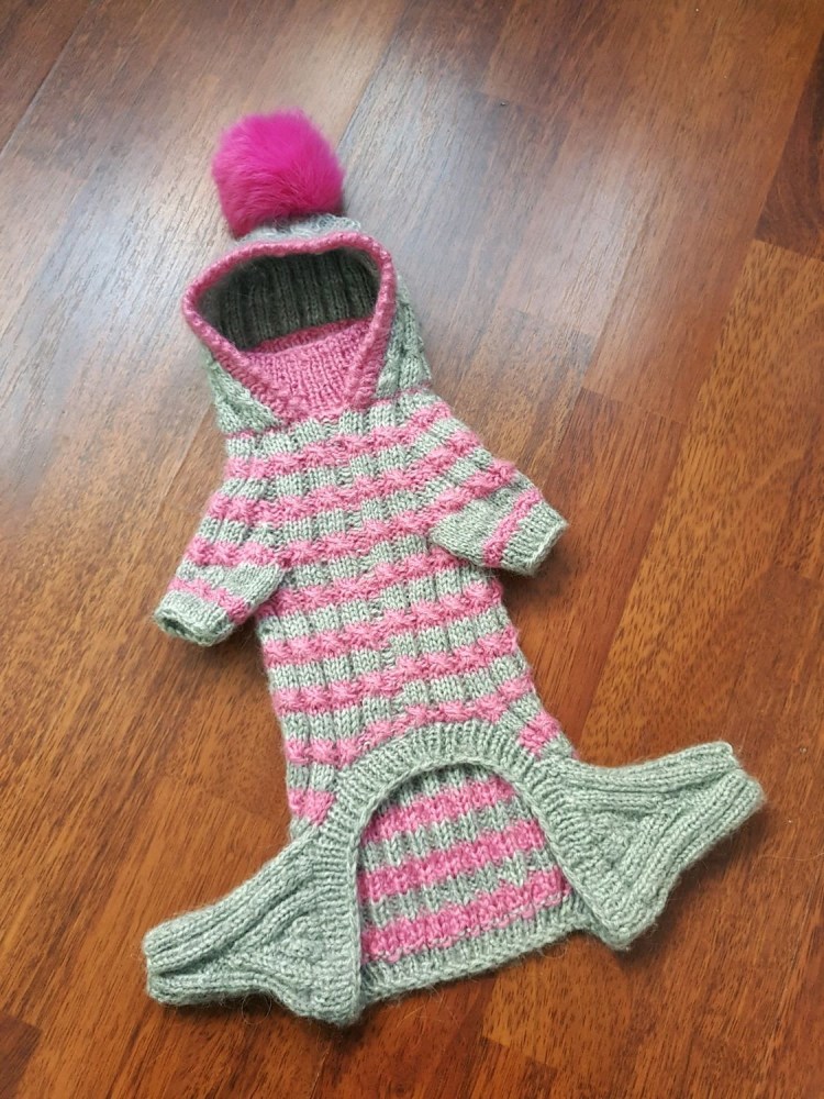Вязаный комбинезон для собаки