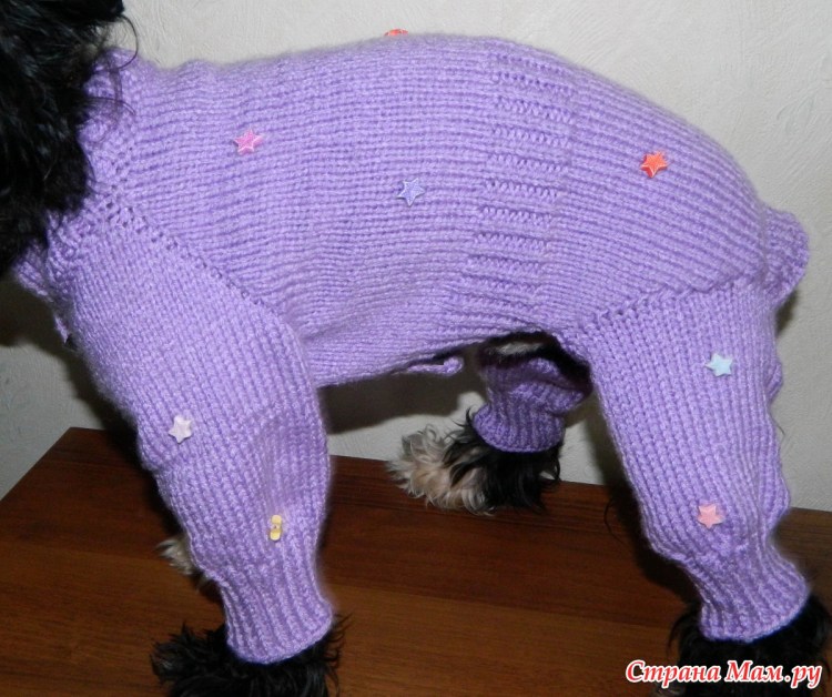 Вязаная свитер для МОПСА