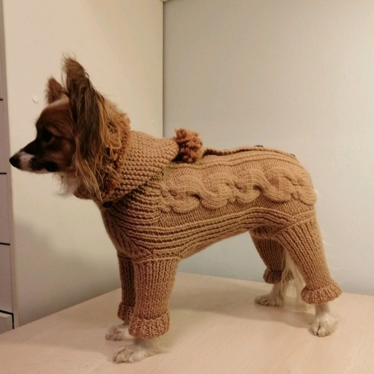 Свитер для собаки спицами Татьяна Кучерова