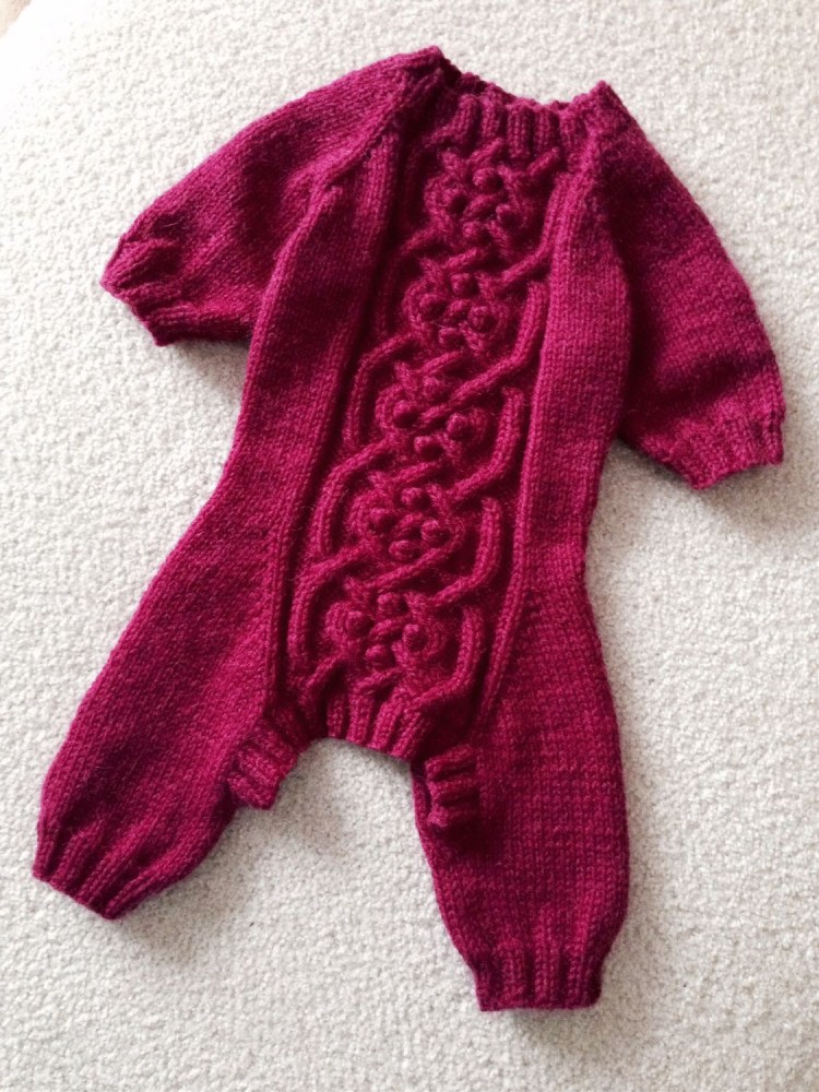 Татьяна Кучерова свитер для собаки