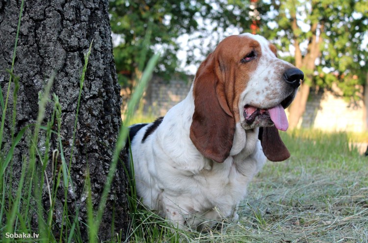 Porcelain Black Mannequin Factory