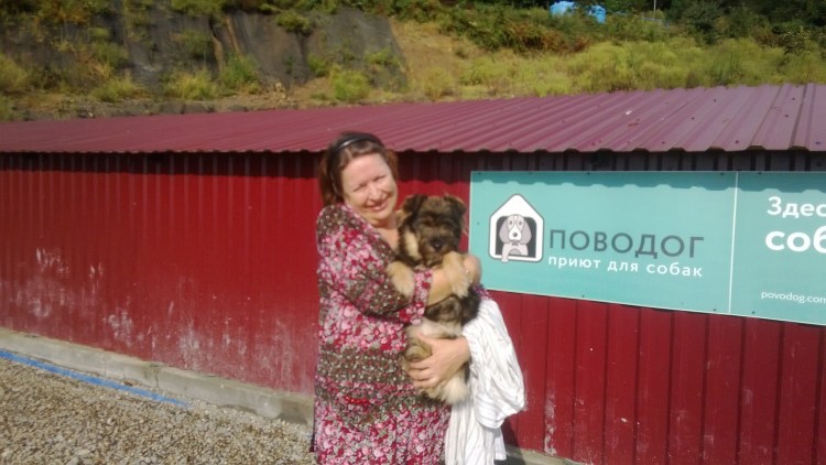 Приют для собак в Махачкале