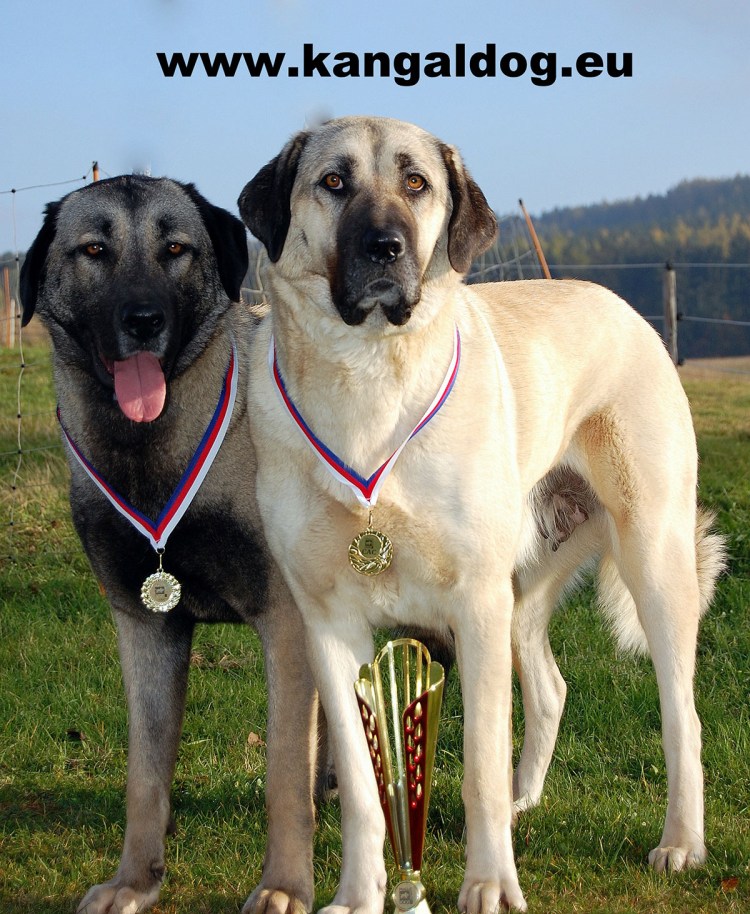 Станция Аксарайская 2