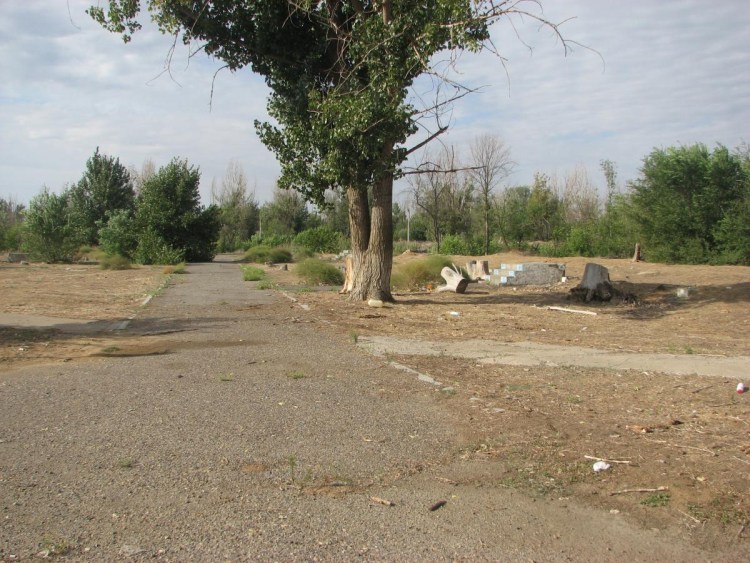 Турецкий волкодав кангал