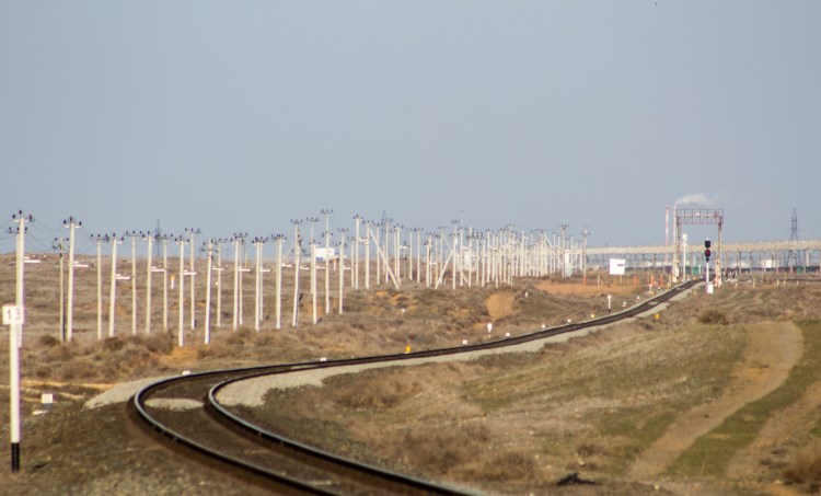 Турецкий волкодав кангал