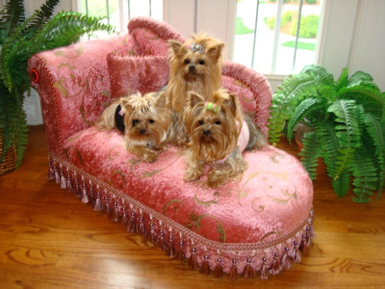 Лежанки для собак маленьких пород