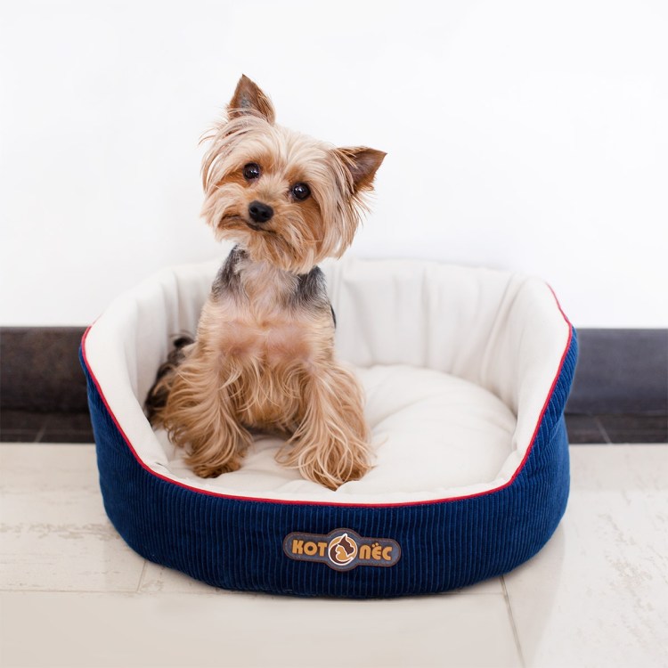 Лежак Trixie Davin 38975