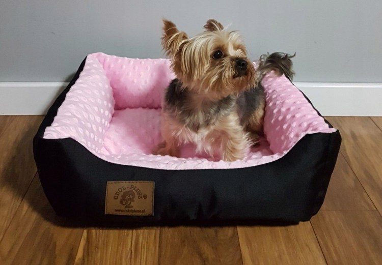 Лежак для Йорка