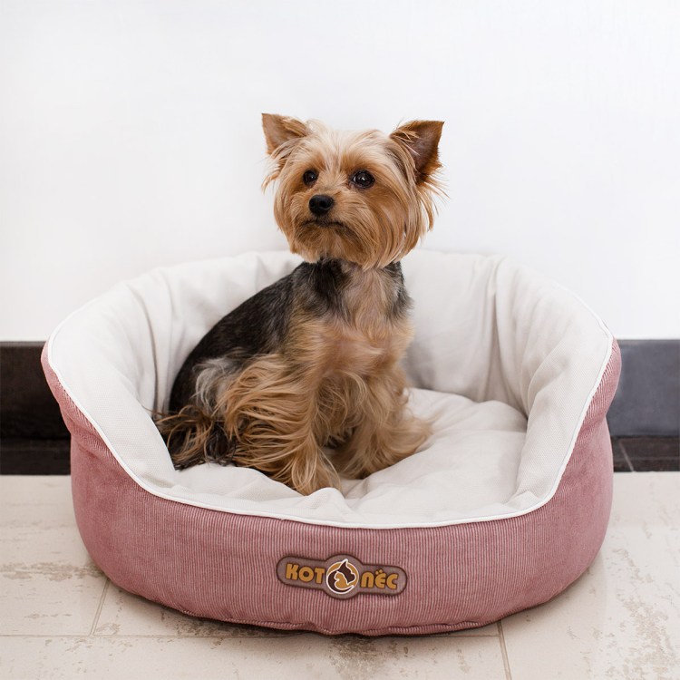 Стильный лежак для собаки