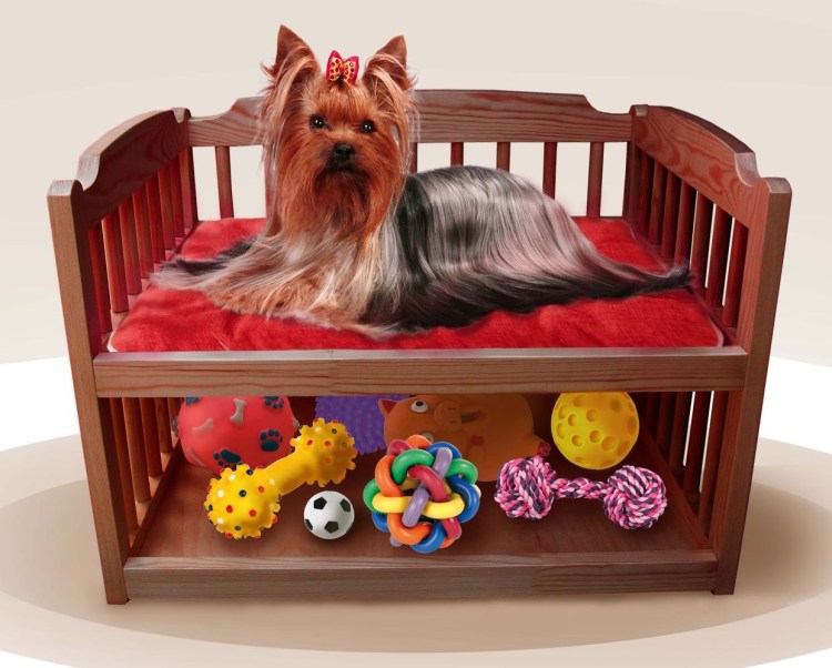 Домик для йоркширского терьера