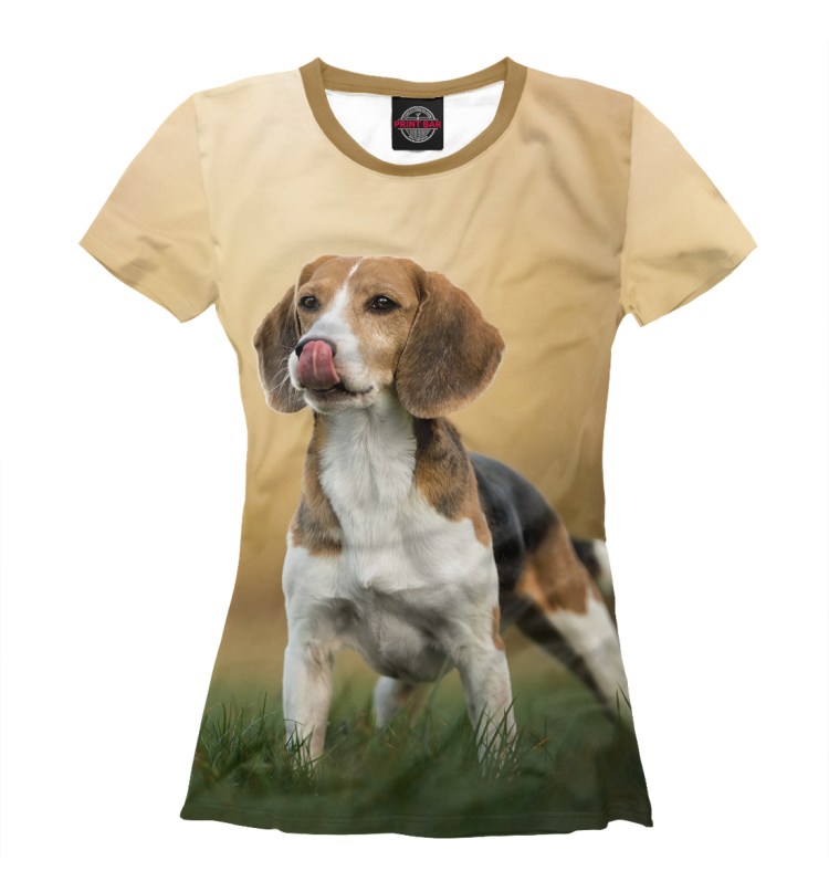 Модные футболки с собаками