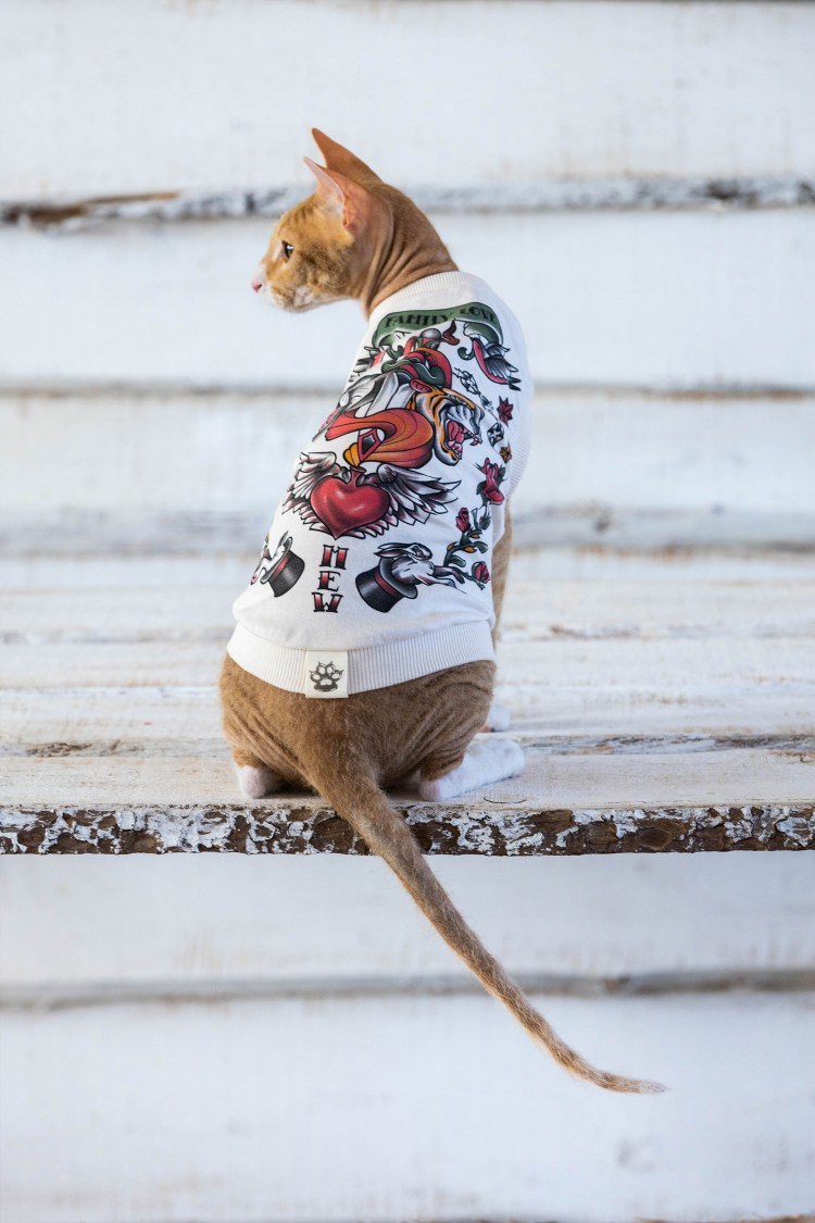 Футболка собака