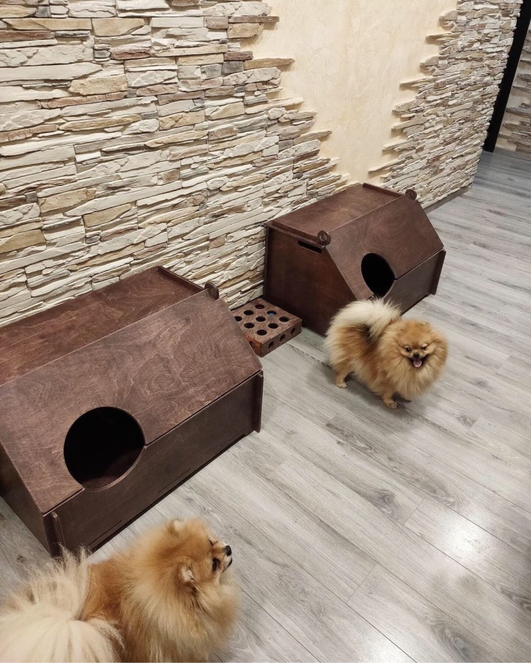 Домики для кошек и собак