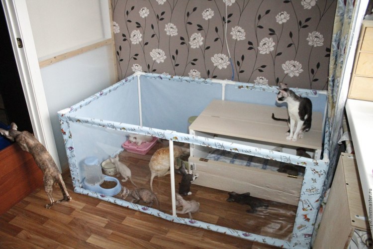 Домик для собак Lion будка s 35х33х35 см