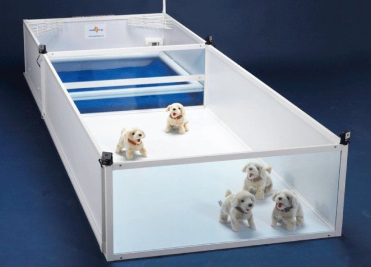 Короб для щенков