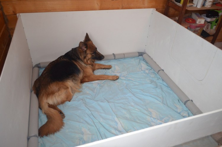 Родильный ящик для собак