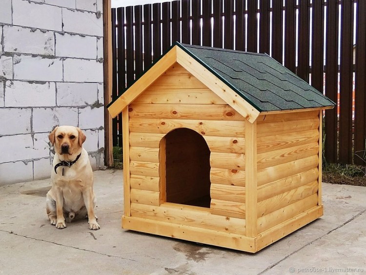 Вольер манеж для котят