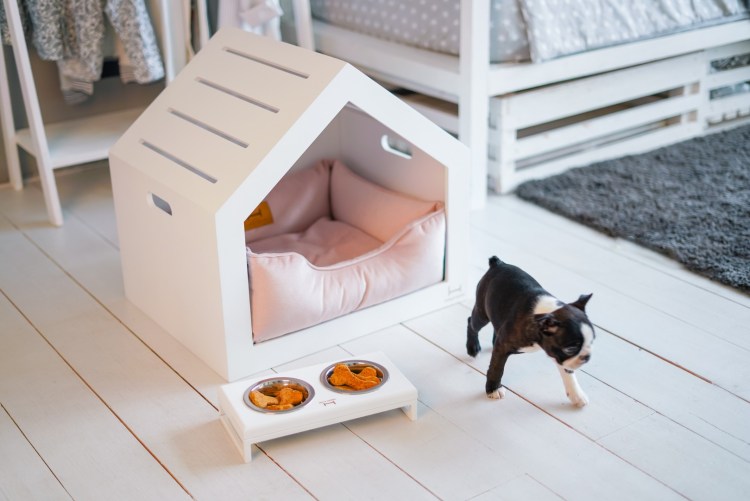 Родильный домик для кошки