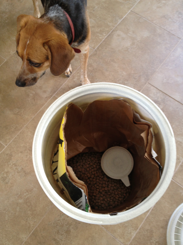 Fshomecollections Throw Dogs