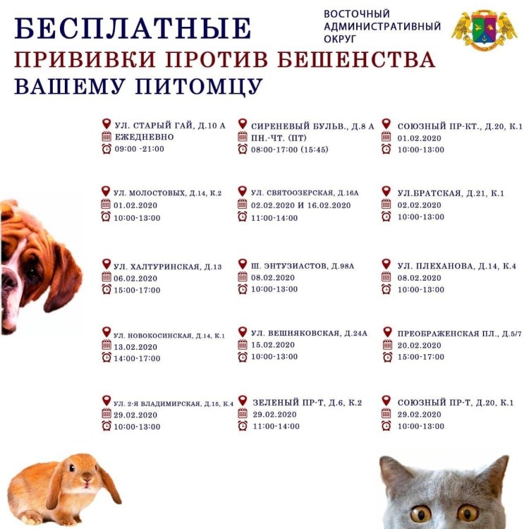 Классы кормов для собак