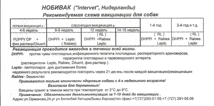Прививки от бешенства для кошек