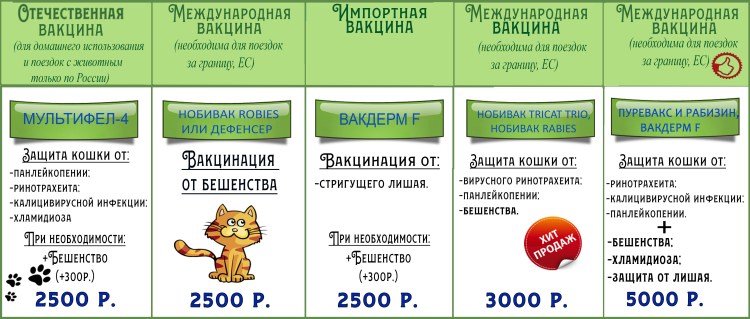 График прививок собакам по возрасту до 1 года