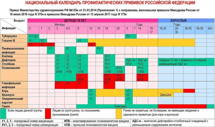 Первая прививка щенку хаски