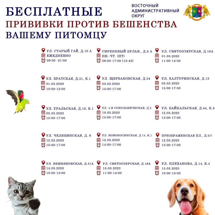 Стронгхолд котятам дозировка