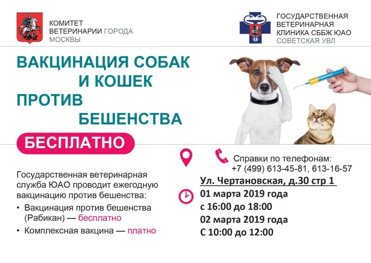 Прививки для кошек