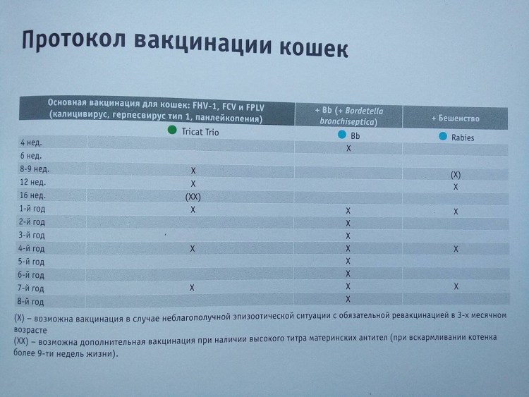 Бесплатная вакцинация домашних животных
