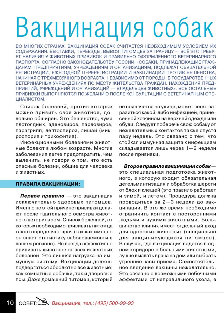 Вакцинация собак и кошек против бешенства