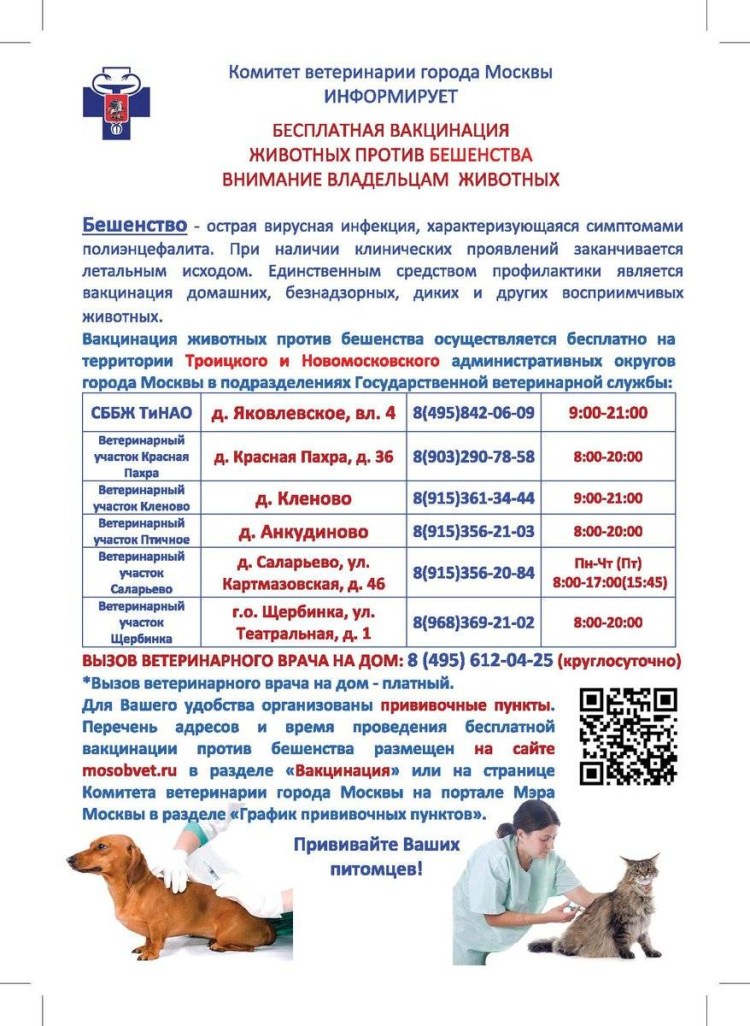 Первая вакцинация щенка Нобивак