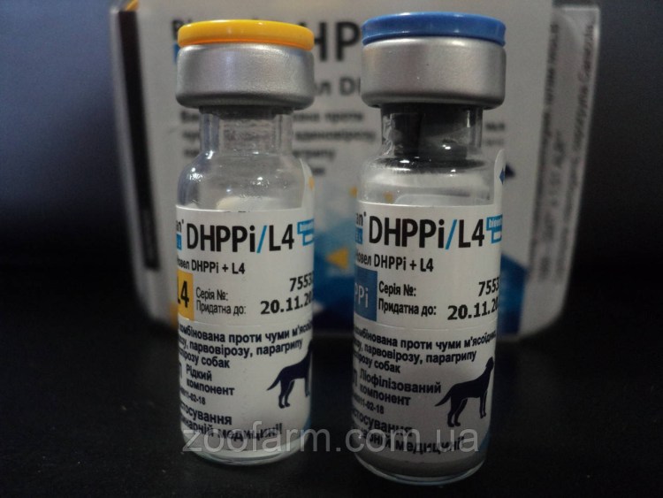 Какие вакцины для прививки от бешенства для собак