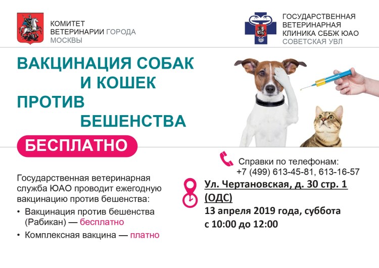 Вакцина от собачьего гриппа